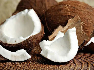 Coconut